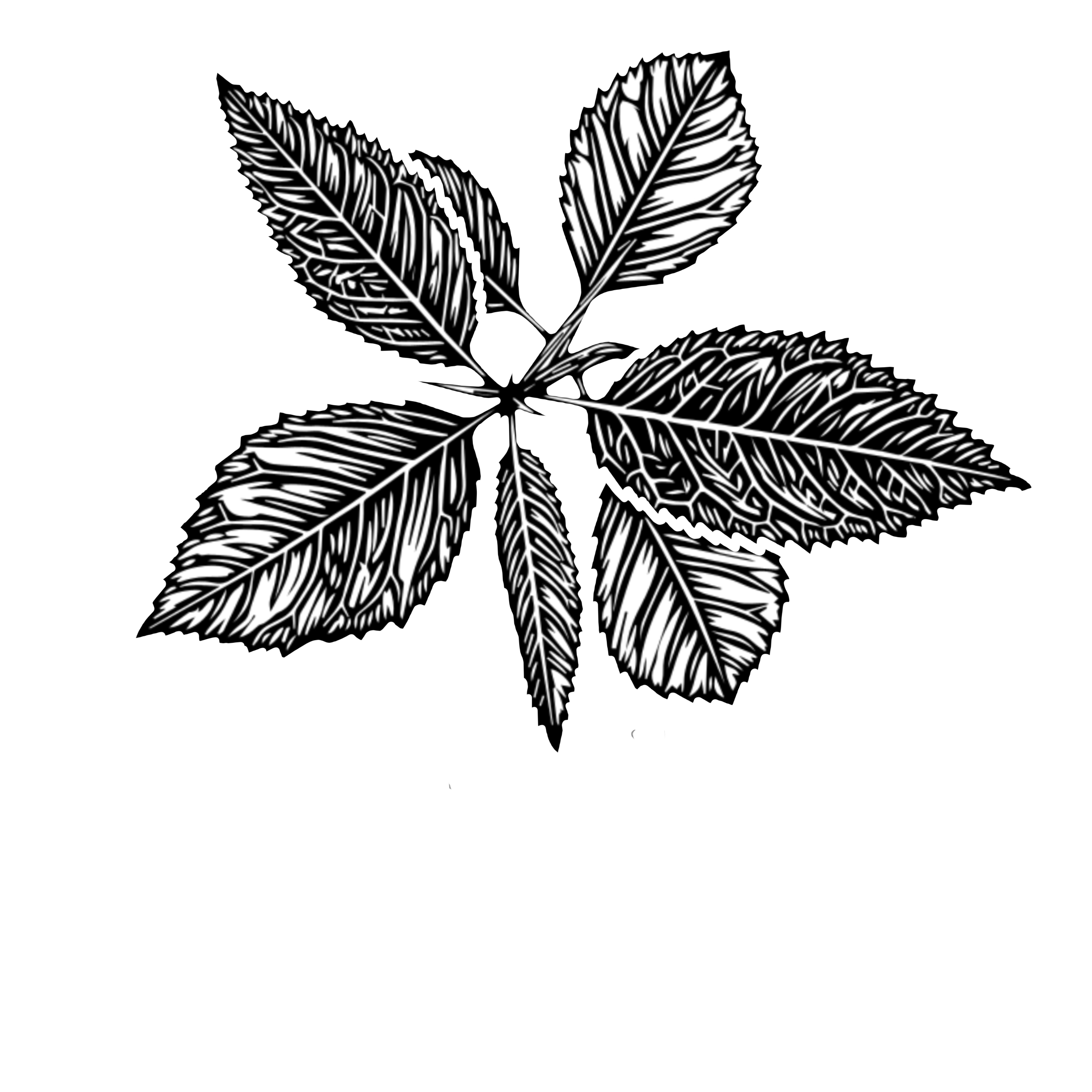 Bootleg Builder