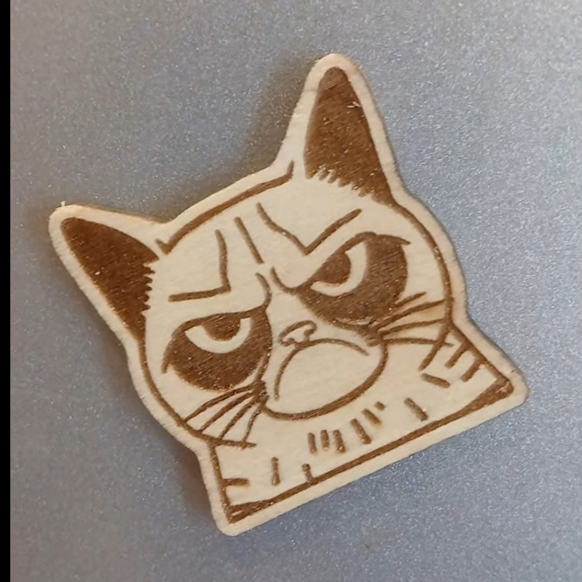 Grumpy cat magnet